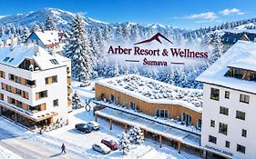 Arber Resort & Wellness Sumava
